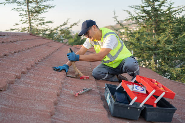 Best Roof Gutter Cleaning  in Villa Rica, GA